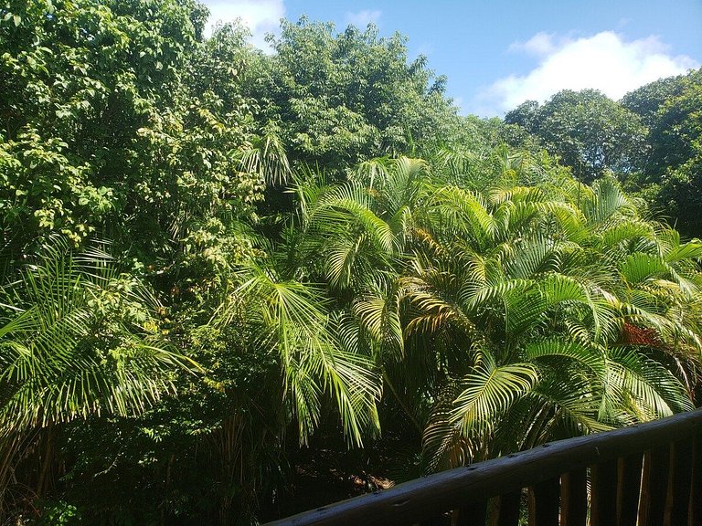 Village Itacimirim - 2 quartos - próximo ao mar - Quinta das