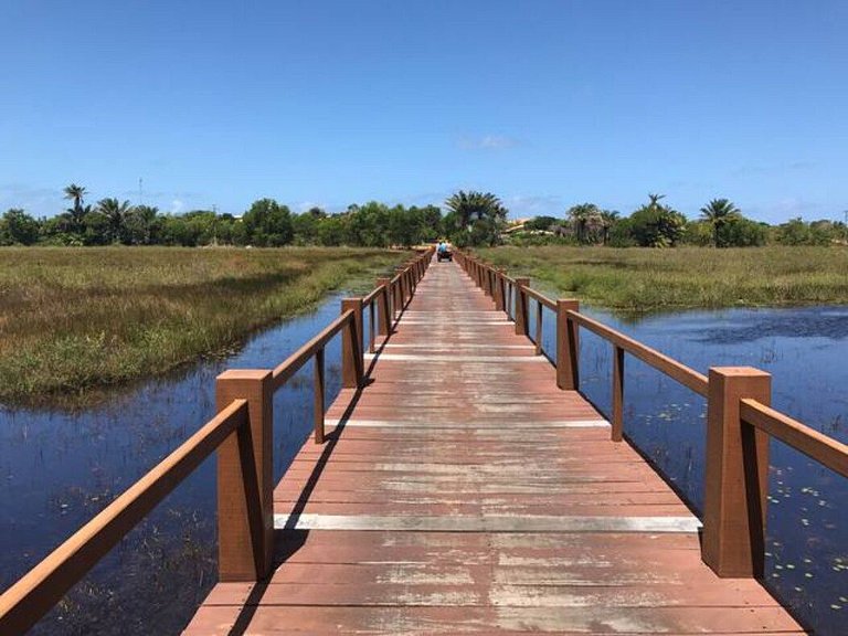 Casa Luxo em Itacimirim | 4 Suítes | Piscina Privativa | Lar